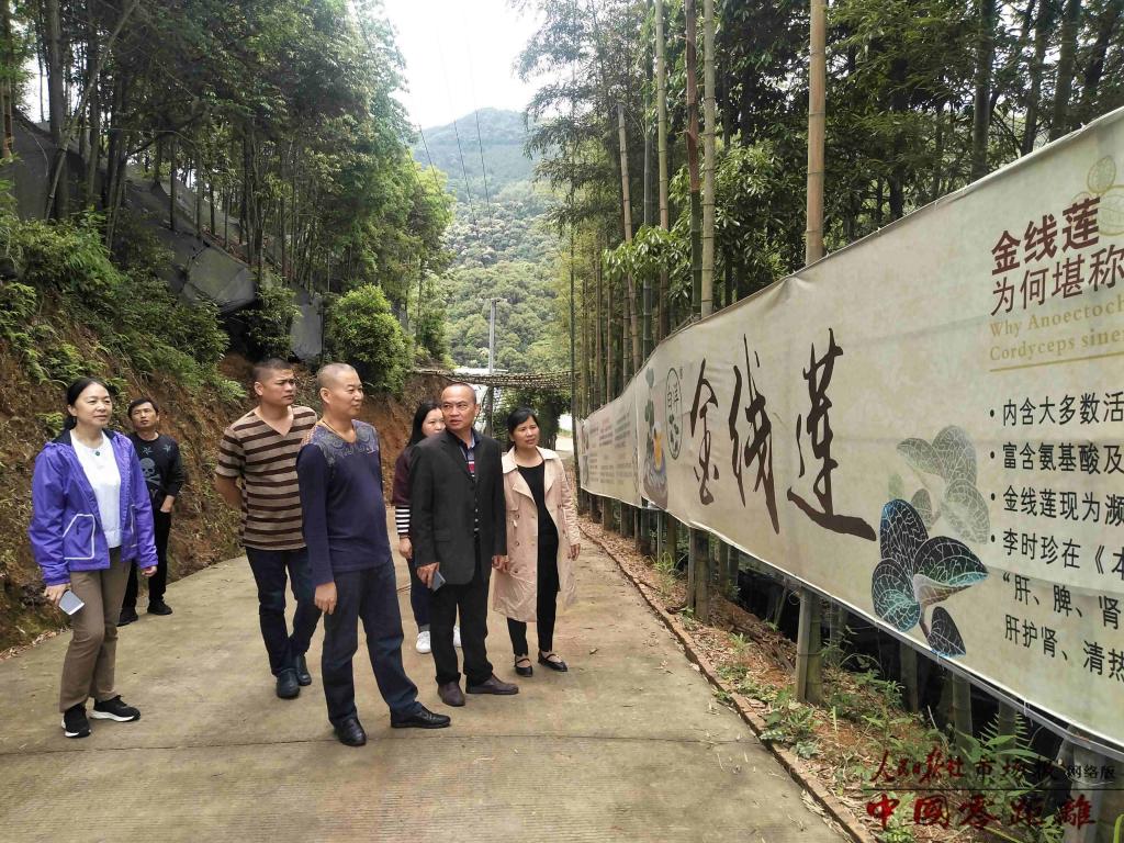 说明: IMG_260