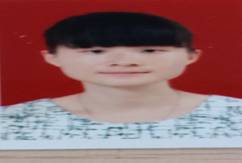 厦门湖滨杨棕群